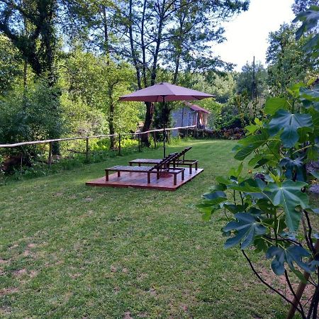 Villa Quinta Das Bollotas Fafe Exterior foto