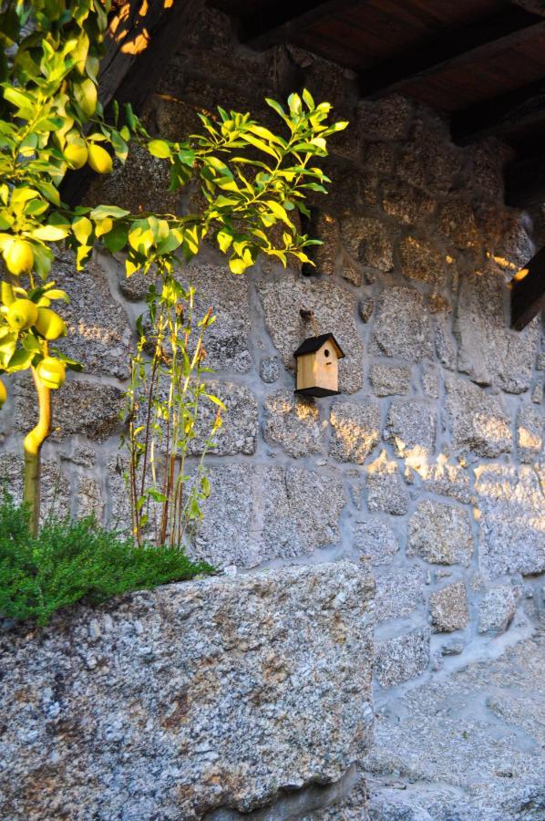 Villa Quinta Das Bollotas Fafe Exterior foto
