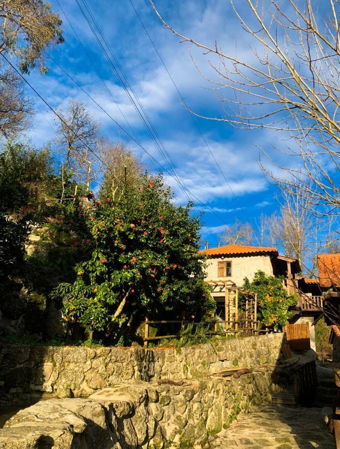 Villa Quinta Das Bollotas Fafe Exterior foto